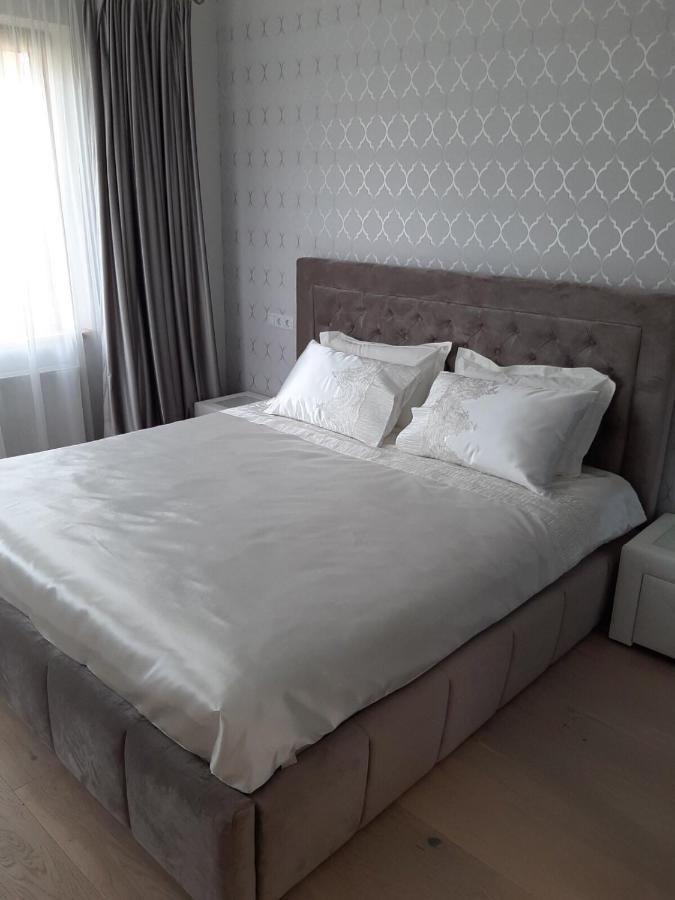 Mazoji Vila Birštonas Zewnętrze zdjęcie