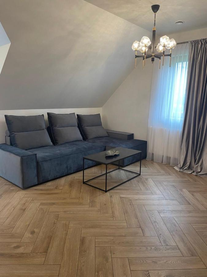 Mazoji Vila Birštonas Zewnętrze zdjęcie